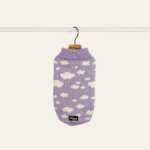 Dreamer Jumper