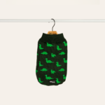 Dinosaur Land Jumper