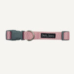 Candy Floss Dog Collar