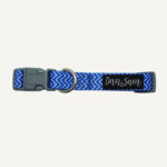 Ziggy Dog Collar