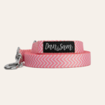 Candy Floss Dog Lead