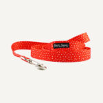 Raining Hearts Dog Lead