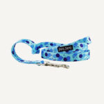 Dazzling Dots Dog Lead