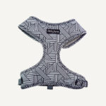 Abstract Dog Harness