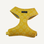 Wild Sunflower Dog Harness