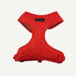 Raining Hearts Dog Harness