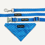 Adventurer Dog Bandana Set