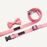 Princess Pink Dog Bow-Tie Set