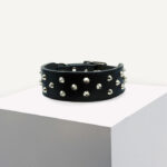 Black Genuine Leather Staffy Collar