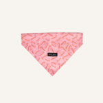 Candy Cane Kisses Dog Bandana