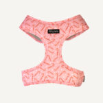 Candy Cane Kisses Dog Harness