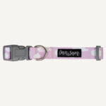 Dreamer Dog Collar