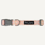 Daisy Picnic Dog Collar