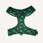 Dinosaur Land Dog Harness