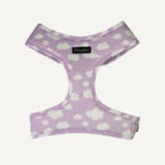 Dreamer Dog Harness