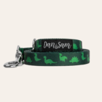 Dinosaur Land Dog Lead