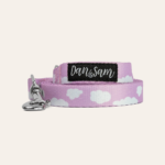 Dreamer Dog Lead