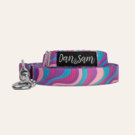 Disco Party Dog Lead