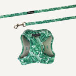 Lahana Step-in Cat Harness & Lead