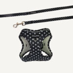 Crossways Step-in Cat Harness & Lead