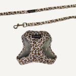 Wild One Step-in Cat Harness & Lead