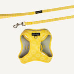 Wild Sunflower Step-in Cat Harness & Lead