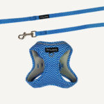Ziggy Step-in Cat Harness & Lead