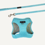 Grooving Step-in Cat Harness & Lead