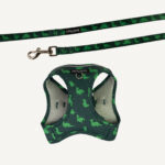 Dinosaur Land Step-in Cat Harness & Lead