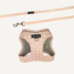 Daisy Picnic Step-in Cat Harness & Lead