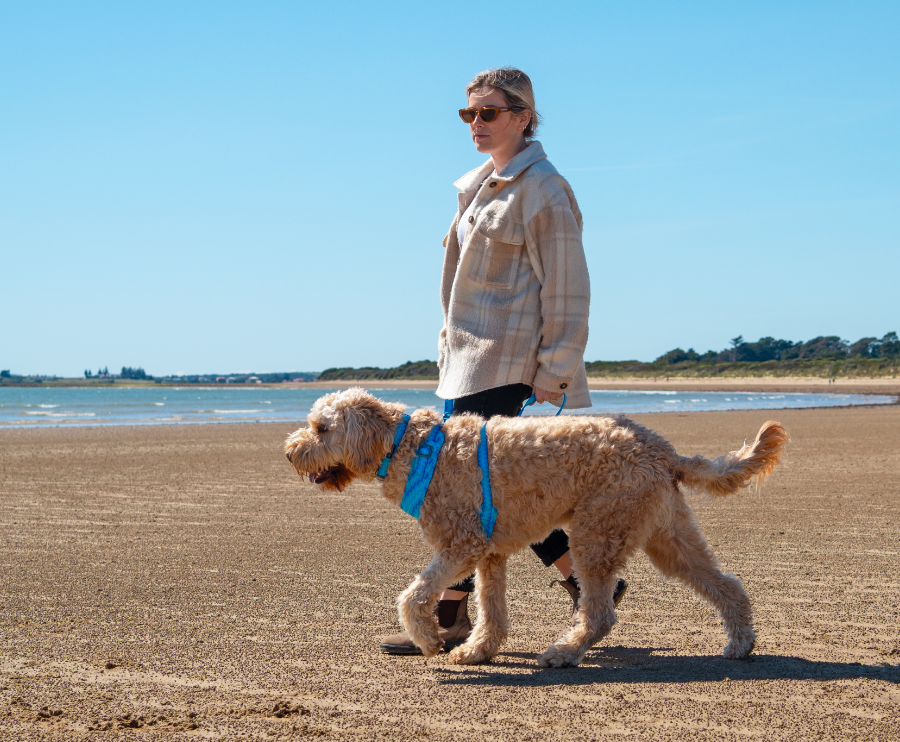 A woman and her dog walking on the beach