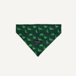 Dinosaur Land Bandana