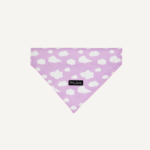 Dreamer Bandana
