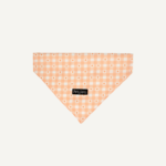 Daisy Picnic Bandana