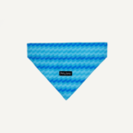 Dan & Sam Coastal Bandana