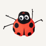 Lucky Ladybug