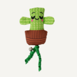 Calming Cactus